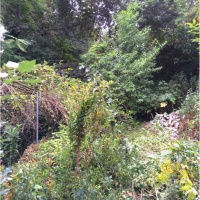 Melba - Before