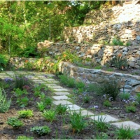 Melba - Completed installation with a fire pit and indigenous plants